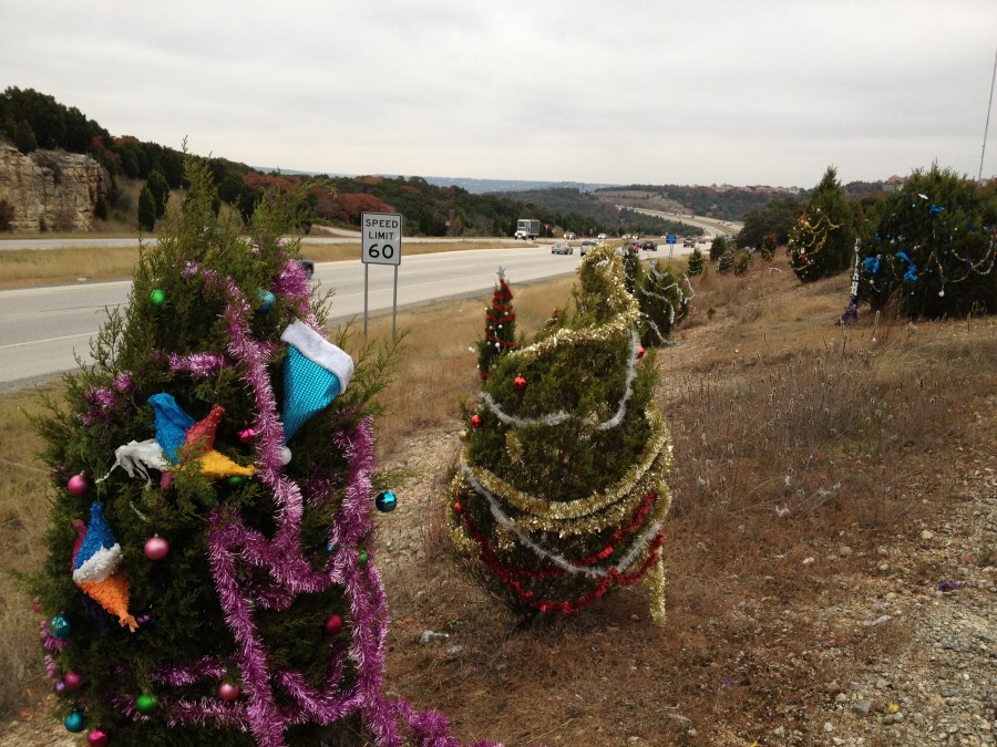 An Austin Holiday Tradition: Decorate a Cedar Tree