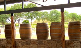 7 Must Visit Wineries & Vineyards in the Lake Travis Area