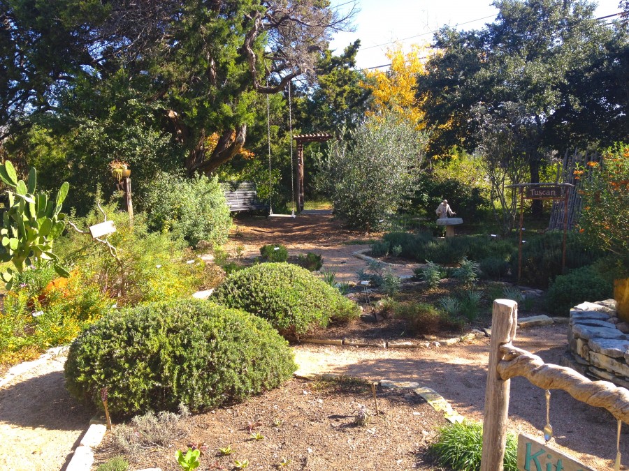 Gardening in the Lake Travis Area: The Natural Gardener