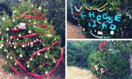 Spreading Holiday Cheer: Tips for Decorating Roadside Trees in Lake Travis