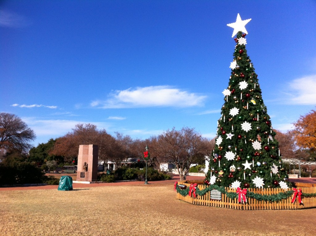 Fredericksburg Town Christmas Tree