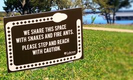 Lake Travis Area Snake Safety: Sharing Space with your Slithery Neighbors