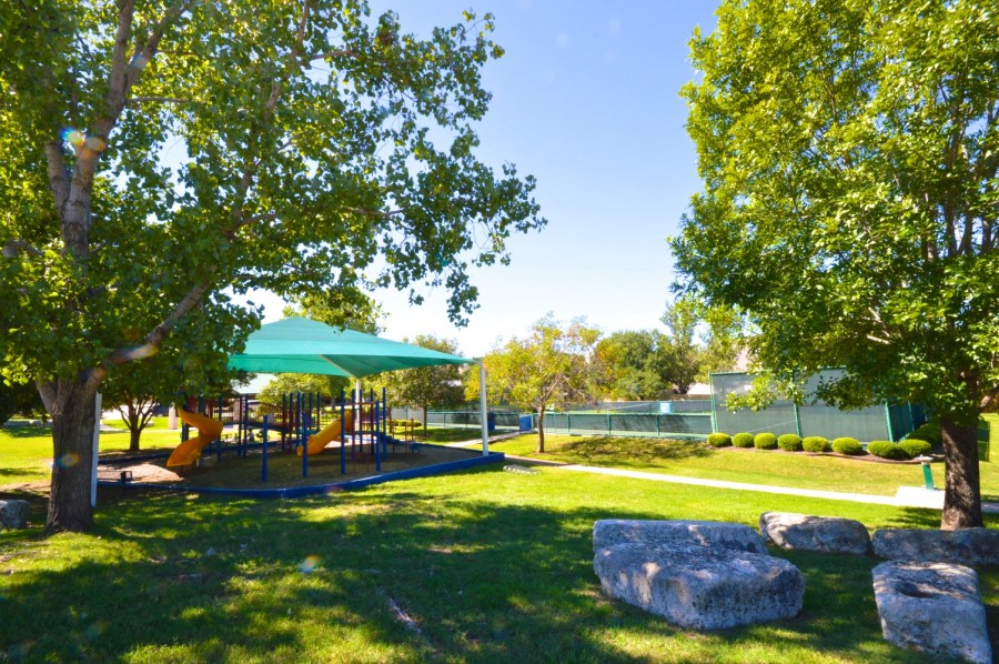 Community parks in Lake Point