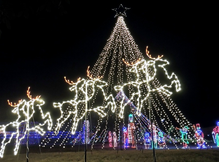 Lights On! - reindeer and sleigh lights