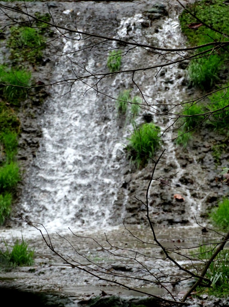 River Place Nature Trail The Most Underrated Hike in Austin