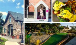 What’s Open & What’s Coming Soon to Lake Travis