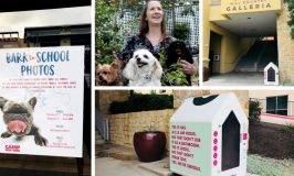 Dog Utopia in Lake Travis: Sidewalk Suites, Puppy Photo Shoot & Pet Sitter Extraordinaire