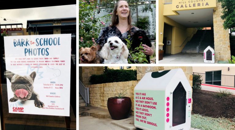 Dog Utopia in Lake Travis: Sidewalk Suites, Puppy Photo Shoot & Pet Sitter Extraordinaire
