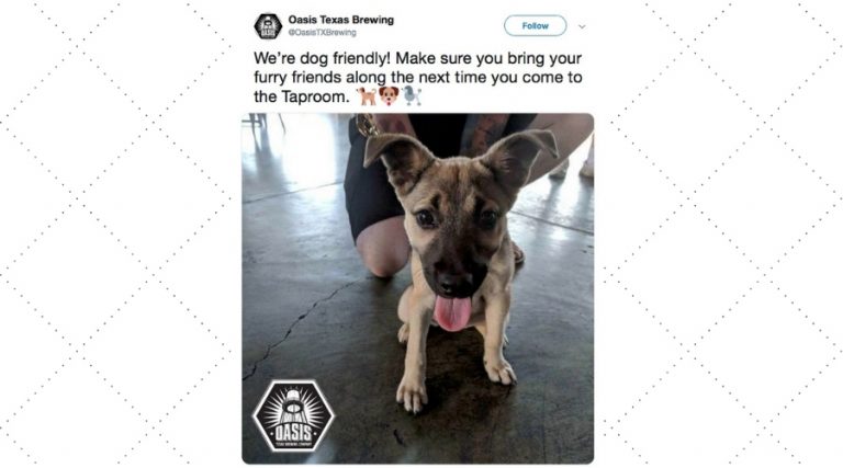 5 Dog-Friendly Dining Spots in the Lake Travis Area