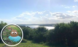 Everything You Want to Know (and Unknow) about Septic Systems in the Lake Travis Area
